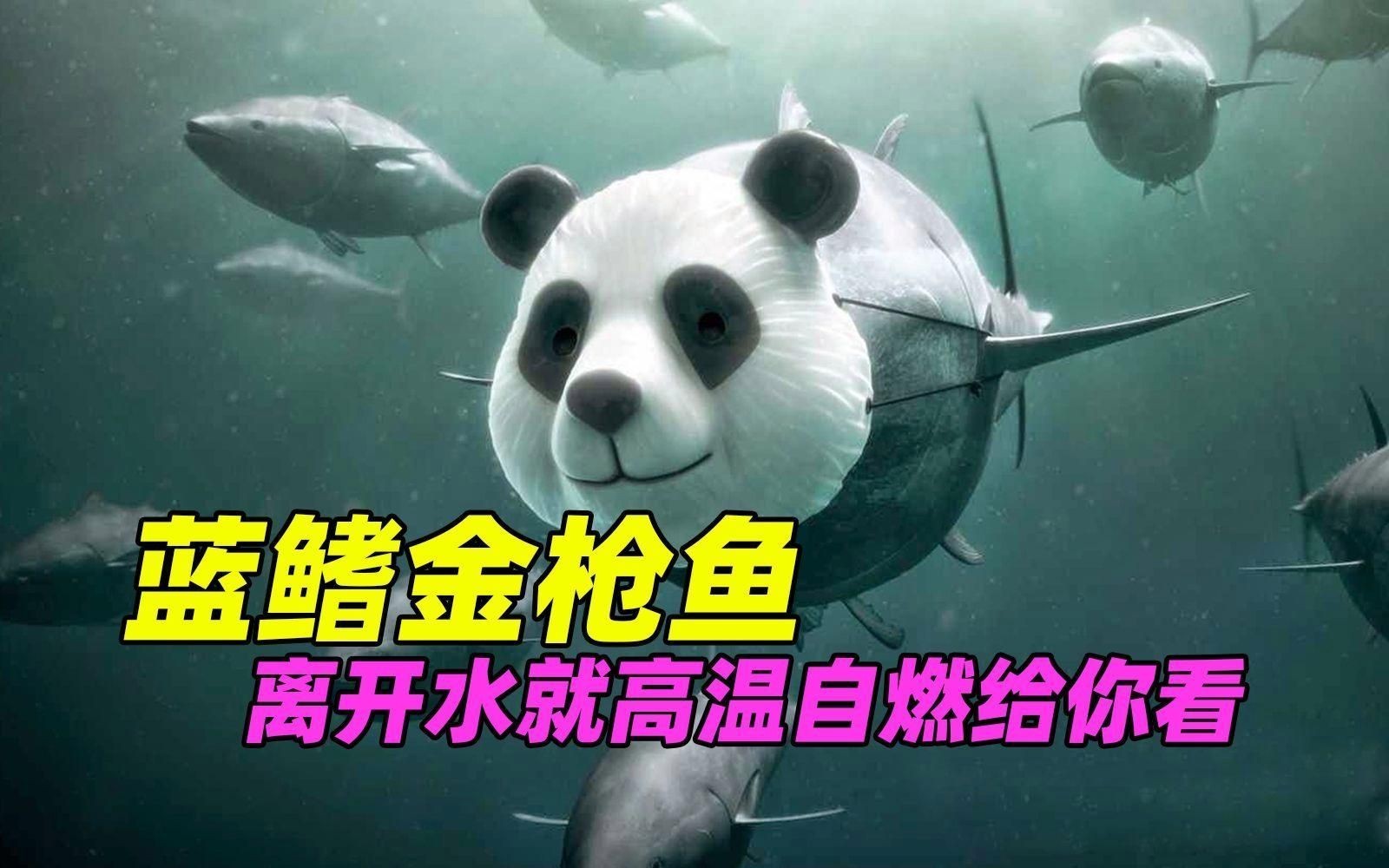 金槍魚藍鰭和黃鰭有啥區別：如何分辨藍鰭金槍魚和黃鰭金槍魚 金槍魚藍鰭和黃鰭有啥區別：如何分辨藍鰭金槍魚和黃鰭金槍魚 龍魚百科 第8張
