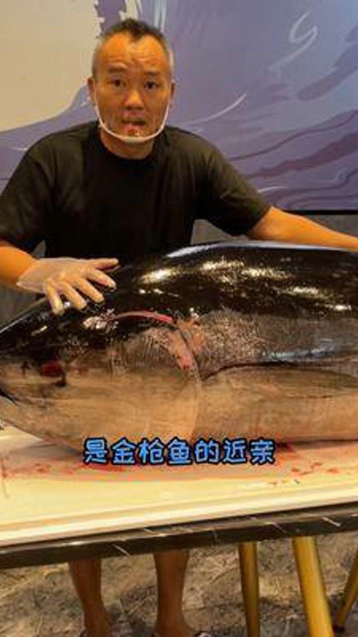 金槍魚藍鰭和黃鰭有啥區別：如何分辨藍鰭金槍魚和黃鰭金槍魚 金槍魚藍鰭和黃鰭有啥區別：如何分辨藍鰭金槍魚和黃鰭金槍魚 龍魚百科 第11張