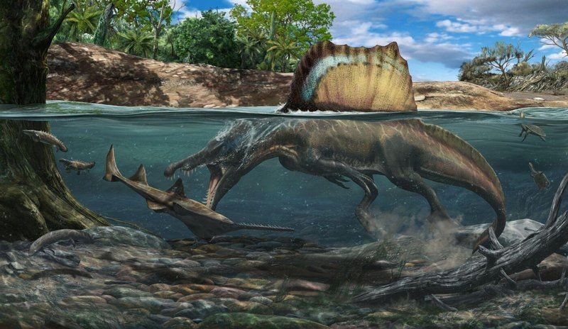棘龍在現代可以吃什么魚類：揭秘恐龍界十八種獨特生物的生存秘密棘龍在現代哪些天敵