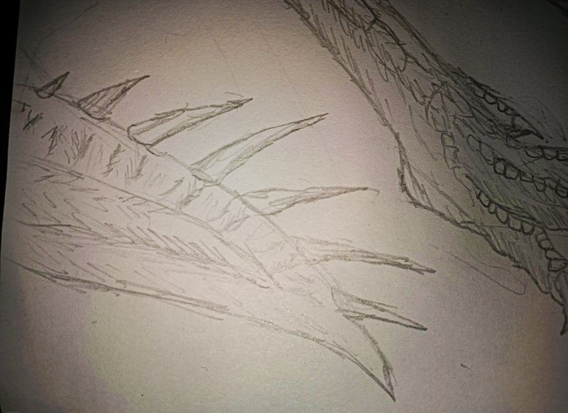 棘龍在現代可以吃什么魚類：揭秘恐龍界十八種獨特生物的生存秘密棘龍在現代哪些天敵