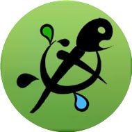 金粉巴西龜最建議買的顏色：金粉巴西龜有哪些稀有顏色