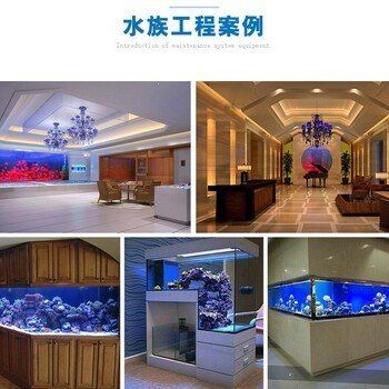 嘉興魚缸店：嘉興魚缸定制廠家