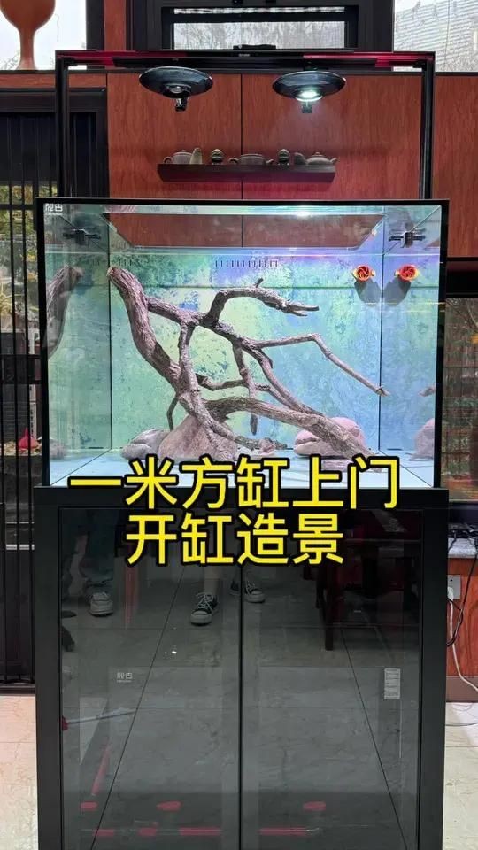 天津魚缸店：天津有家專業(yè)清洗魚缸