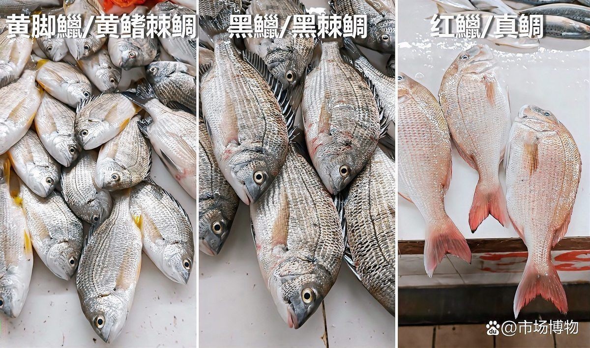 海魚多少錢一：海魚價格因品種、產地、季節(jié)及市場供需因素差異較大