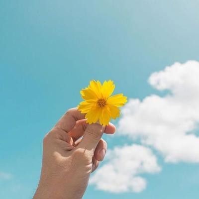 金漸層貓體型多大：英國短毛貓金漸層貓金漸層貓的體型特征管理要點