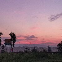 金漸層貓體型多大：英國短毛貓金漸層貓金漸層貓的體型特征管理要點