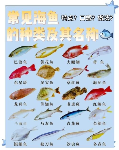 海魚類大全圖冊：《海魚類大全圖冊》70余種常見海水魚圖譜大合集