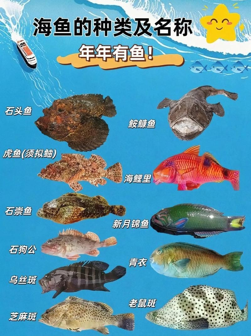 海魚類大全圖冊：《海魚類大全圖冊》70余種常見海水魚圖譜大合集