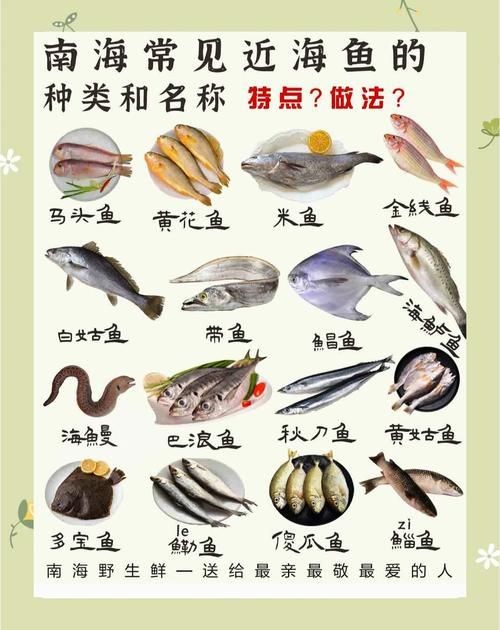 海魚類大全圖冊：《海魚類大全圖冊》70余種常見海水魚圖譜大合集