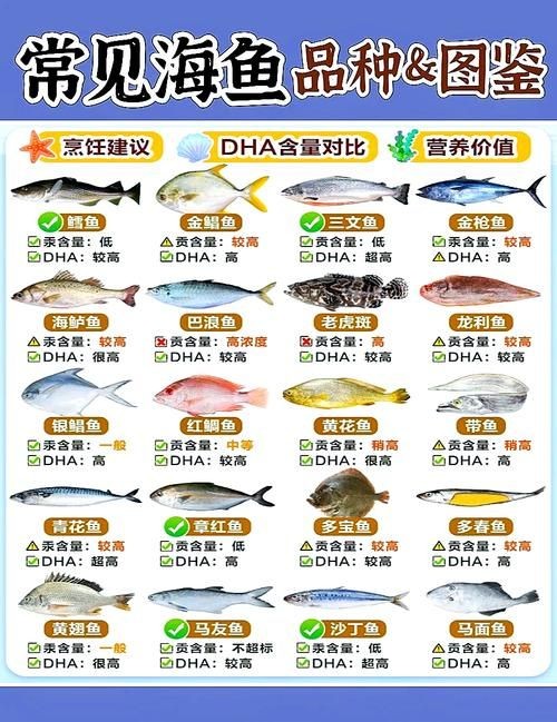 海魚類大全圖冊：《海魚類大全圖冊》70余種常見海水魚圖譜大合集