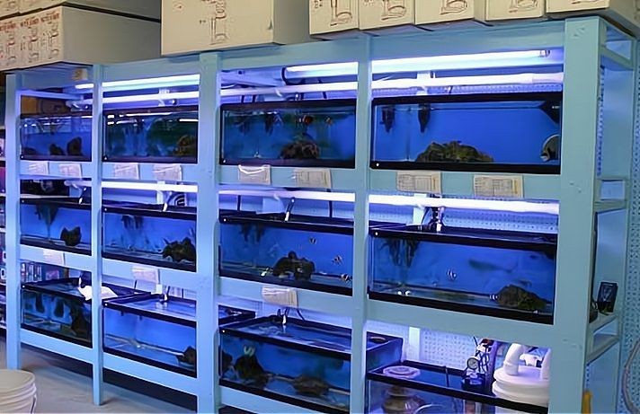 烏海水族店：東方明珠生態水族館360地圖海勃灣區魚水源水族店