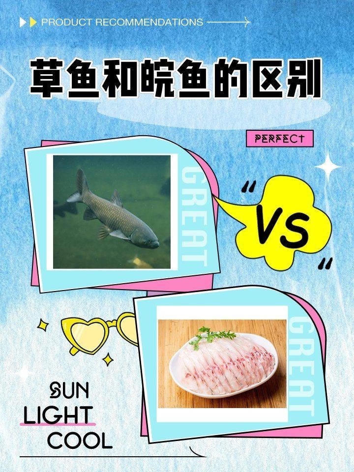 廣東各種魚粵語叫法:廣東地區常見魚類名稱及其特點馬頭魚的粵語名稱匯總 龍魚論壇 第1張 廣東各種魚粵語叫法:廣東地區常見魚類名稱及其特點馬頭魚的粵語名稱匯總 廣東各種魚粵語叫法:廣東地區常見魚類名稱及其特點馬頭魚的粵語名稱匯總 龍魚論壇 第1張