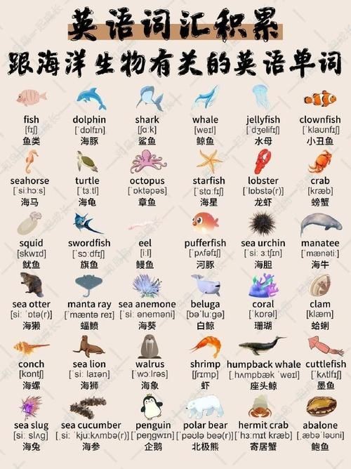 海洋動物圖片大全：*《海洋動物圖片大全》匯聚全球海洋生態系統中極具代表性的動物影像