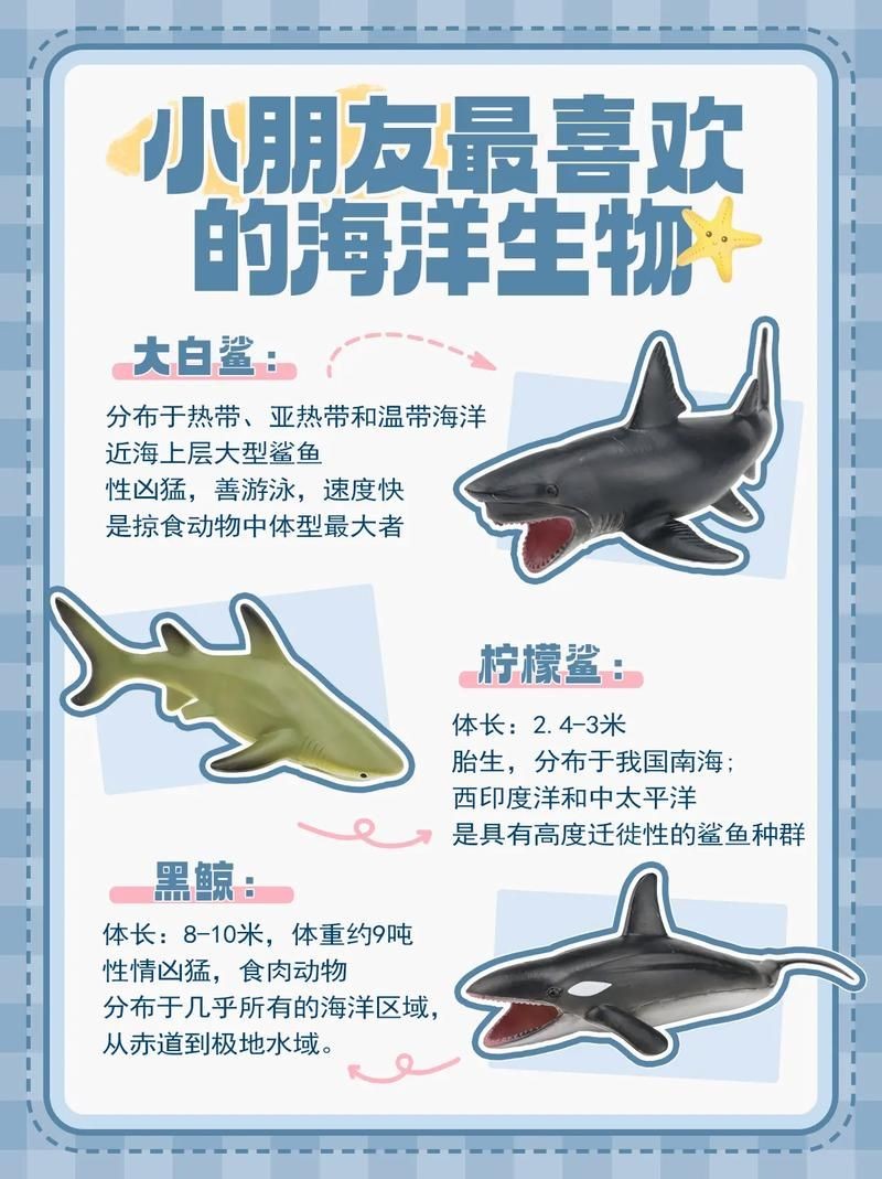 海洋動物圖片大全：*《海洋動物圖片大全》匯聚全球海洋生態系統中極具代表性的動物影像