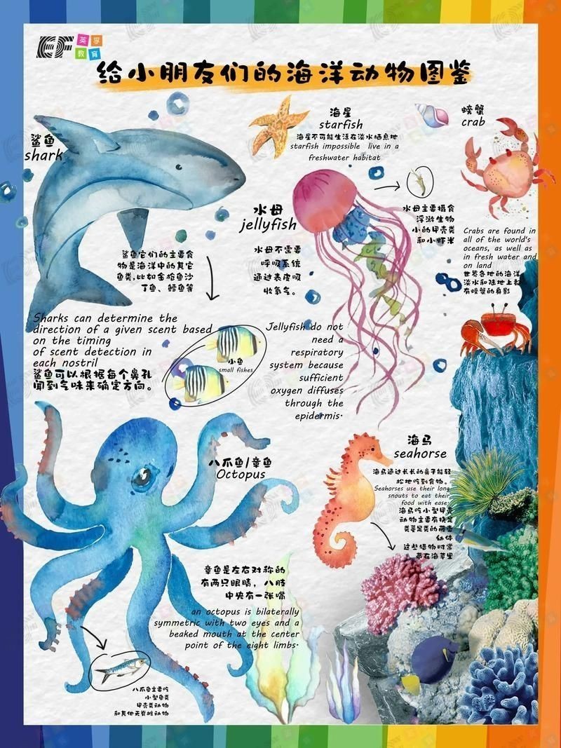 海洋動物圖片大全：*《海洋動物圖片大全》匯聚全球海洋生態系統中極具代表性的動物影像