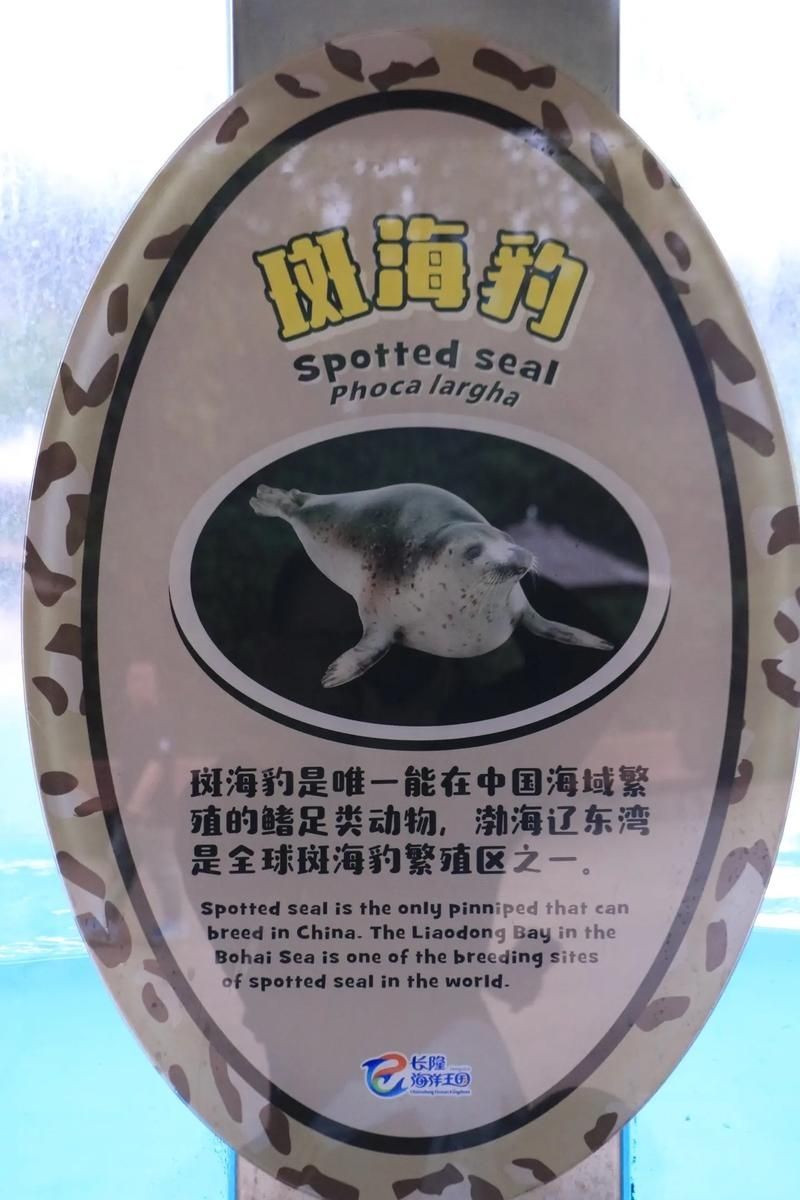 海洋動物圖片大全：*《海洋動物圖片大全》匯聚全球海洋生態系統中極具代表性的動物影像
