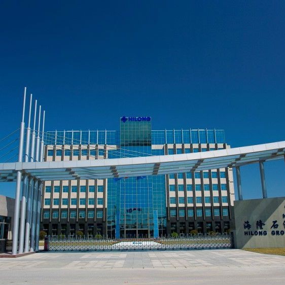 海隆集團簡介：海隆石油工業集團概覽海隆石油工業集團有限公司概覽