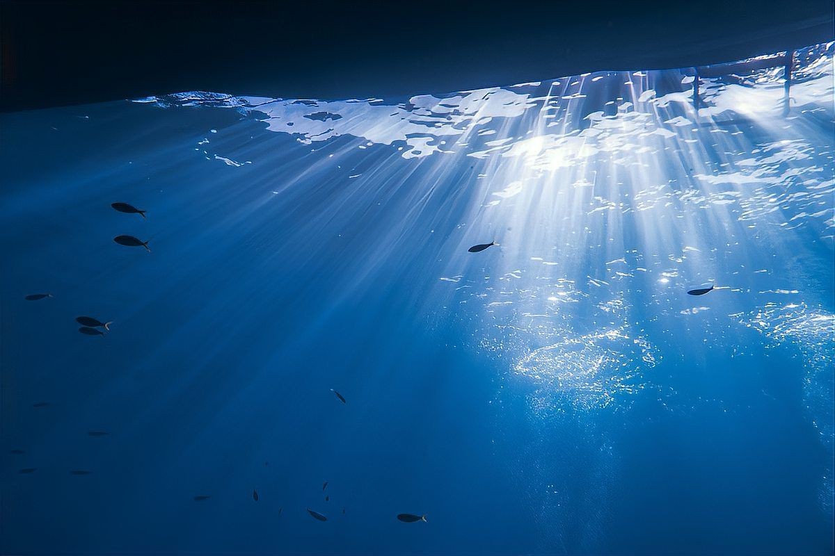 撫順水族館：探秘撫順水族館 撫順水族館：探秘撫順水族館 全國水族館企業(yè)名錄 第1張