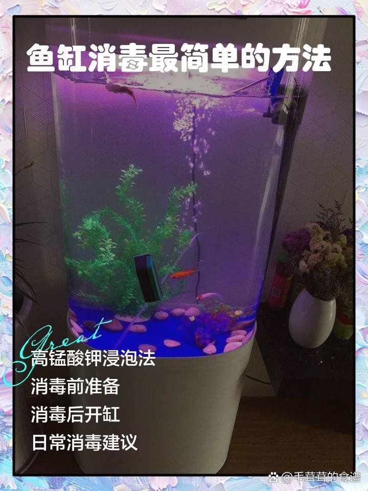 舊魚缸重新開缸消毒：舊魚缸如何消毒與開缸