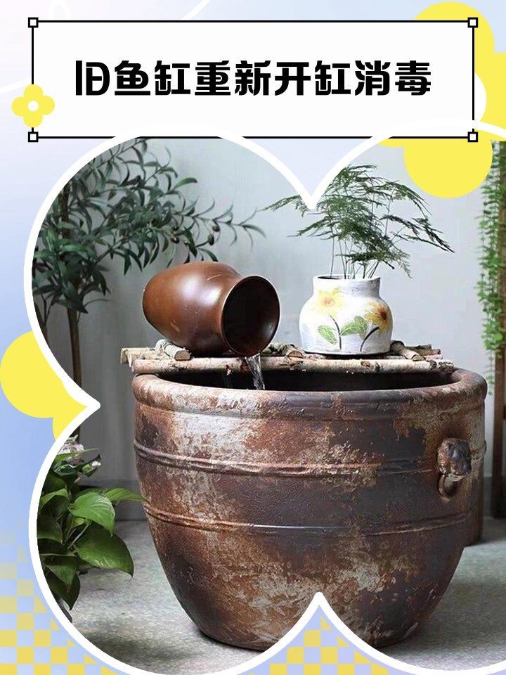 舊魚缸重新開缸消毒：舊魚缸如何消毒與開缸