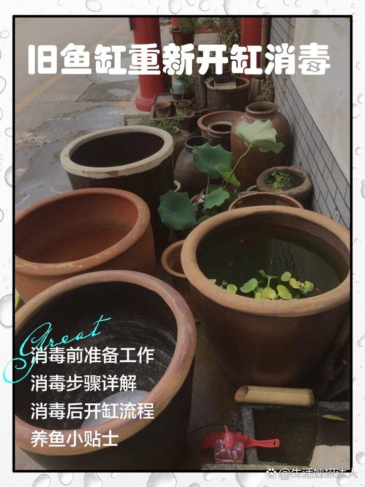 舊魚缸重新開缸消毒：舊魚缸如何消毒與開缸