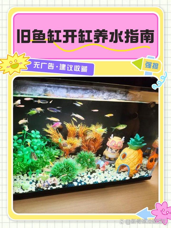 舊魚缸重新開缸消毒：舊魚缸如何消毒與開缸