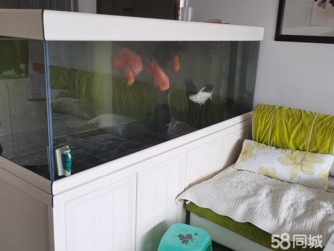 蘭州魚缸定做：蘭州波塞冬水族工程有限公司嵌入式魚缸定做服務圓滿完成