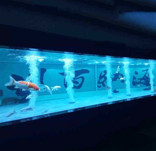 蘭州魚缸定做：蘭州波塞冬水族工程有限公司嵌入式魚缸定做服務圓滿完成