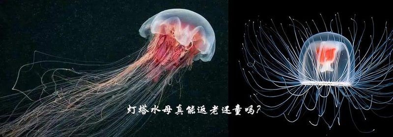 海友網(wǎng)論壇：海友數(shù)字科技以區(qū)塊鏈技術(shù)賦能大健康產(chǎn)業(yè)打造消費(fèi)創(chuàng)富新生態(tài)中國日報(bào)網(wǎng)