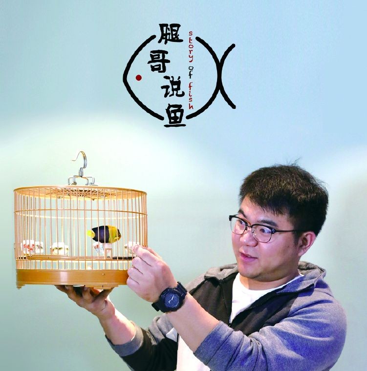 火翅金鉆燈魚最忌三種東西：火翅金鉆燈魚飼養與繁殖