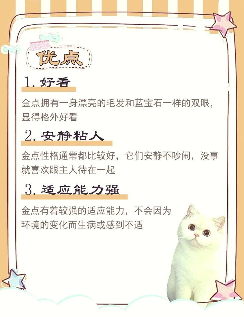 金點貓最厲害三個特征：金點貓的優點和特點