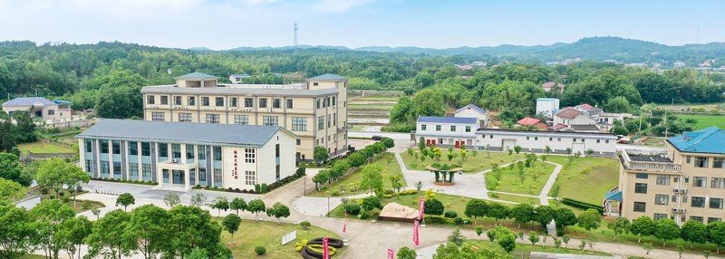 湖南辣椒種子公司最好的牌子：湖南辣椒種子公司值得推薦幾款湖南辣椒種業的經典品種