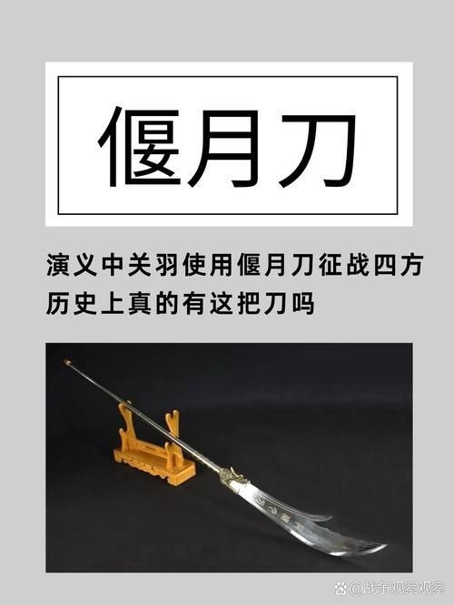 連續下雨時，如何減少投喂量，下雨時，動物的食欲可能會受到影響