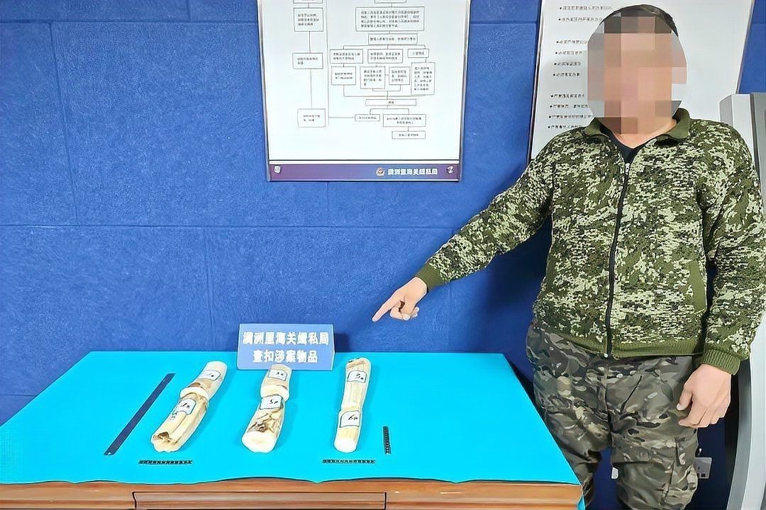 海象和巨骨舌魚哪個貴:海象與巨骨舌魚哪個更貴 龍魚論壇 第4張 海象和巨骨舌魚哪個貴:海象與巨骨舌魚哪個更貴 海象和巨骨舌魚哪個貴:海象與巨骨舌魚哪個更貴 龍魚論壇 第4張