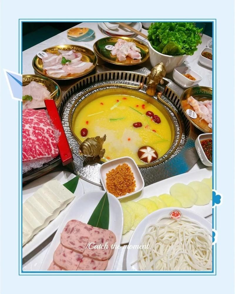 昆明龍魚店：開個昆明龍魚店需要多少錢