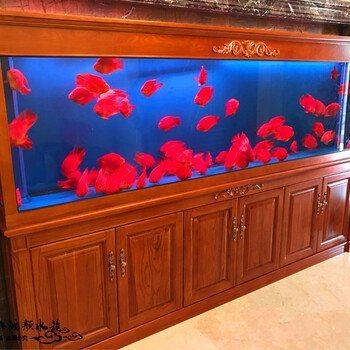 無錫魚缸維護：無錫魚缸專業維護全攻略