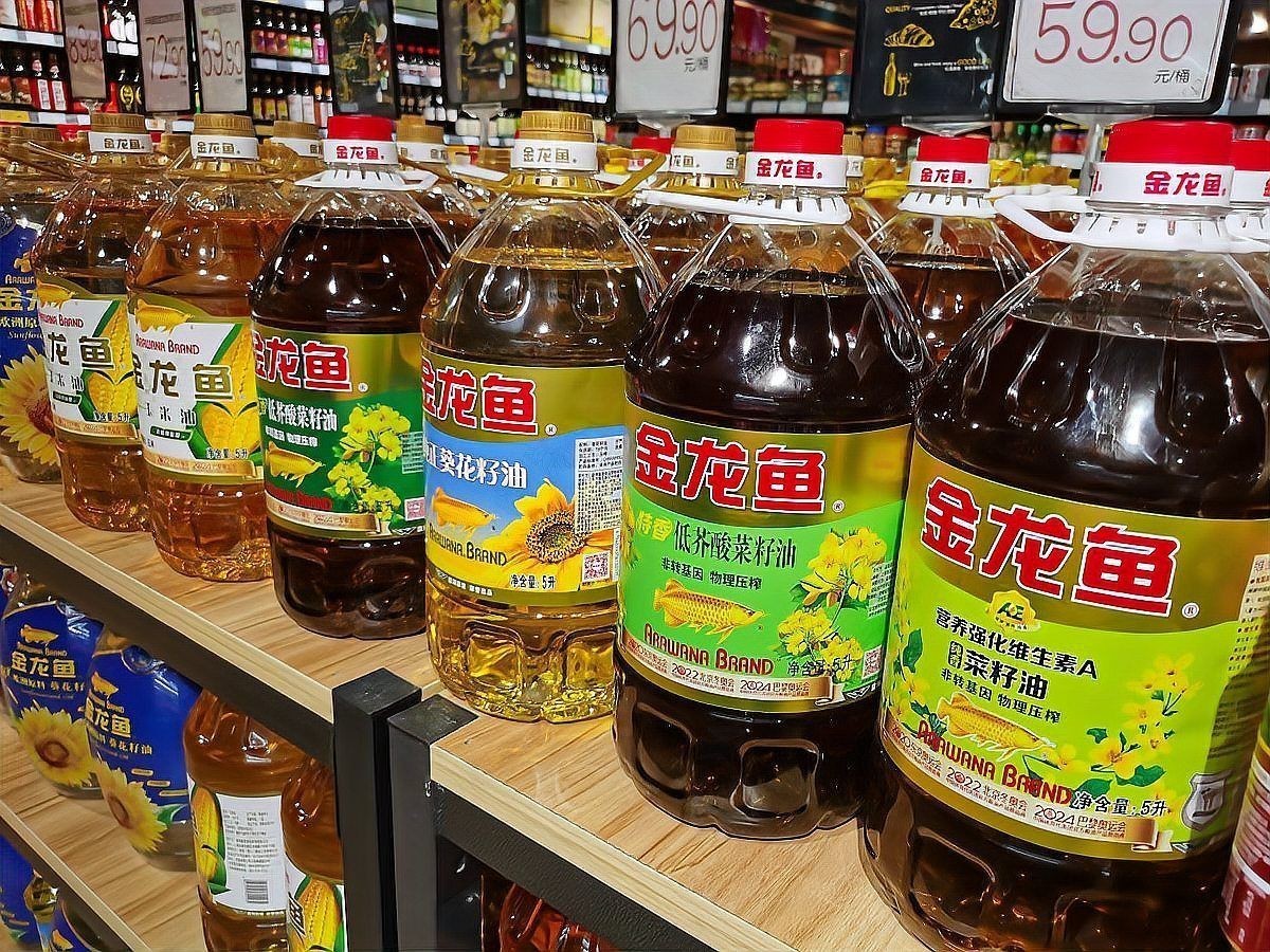 金禾金龍魚最建議買的三樣產品：金龍魚最值得入手的三款產品