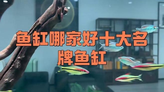 家用魚缸十大名牌排名：2025年中國水族箱品牌top10權威榜單出爐!養(yǎng)魚愛好者必看指南
