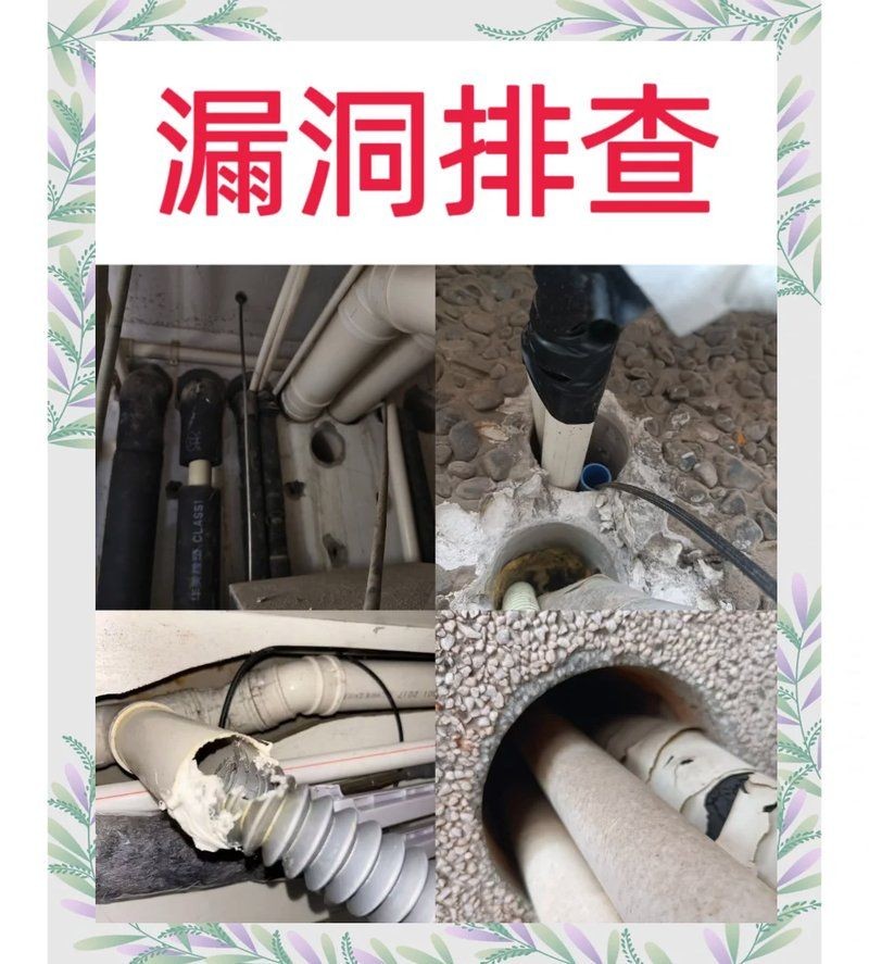 家庭滅鼠上門服務(wù)：家庭滅鼠上門服務(wù)機(jī)構(gòu)