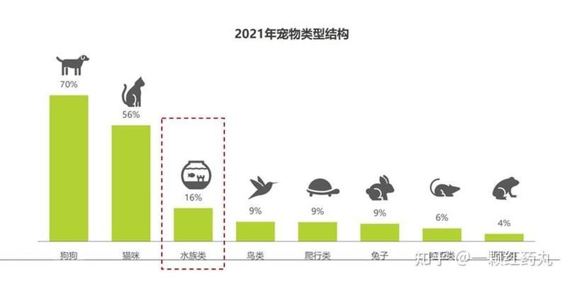 廣州魚缸批發市場：廣州魚缸批發市場怎么樣