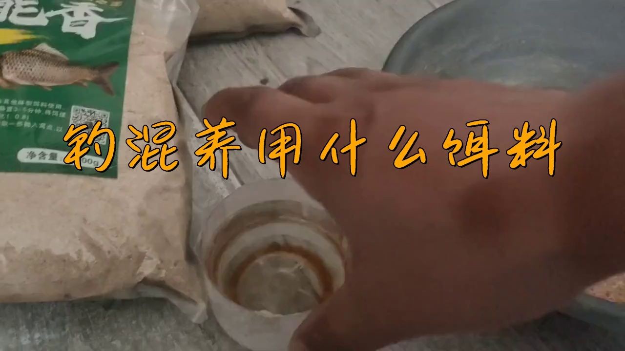 混養魚用什么餌料最好：混養魚因種類多樣食性與營養需求存在差異，選擇適宜餌料至關重要 混養魚用什么餌料最好：混養魚因種類多樣食性與營養需求存在差異，選擇適宜餌料至關重要 龍魚論壇 第1張