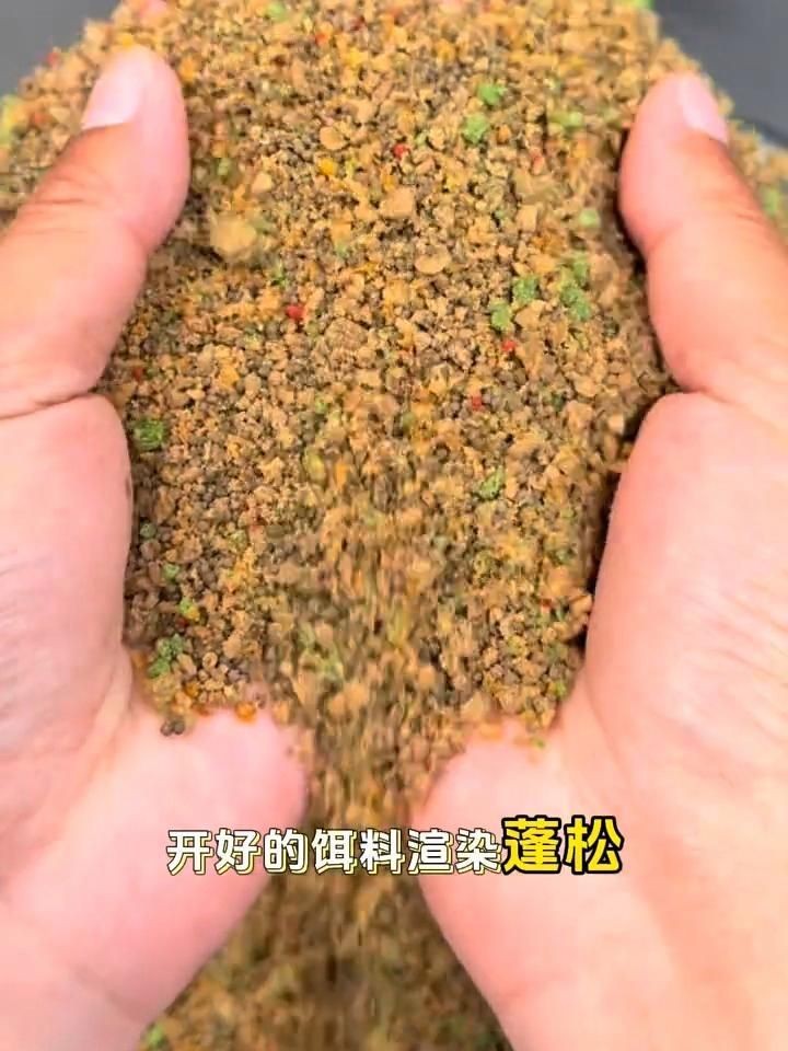 混養魚用什么餌料最好：混養魚因種類多樣食性與營養需求存在差異，選擇適宜餌料至關重要 混養魚用什么餌料最好：混養魚因種類多樣食性與營養需求存在差異，選擇適宜餌料至關重要 龍魚論壇 第3張