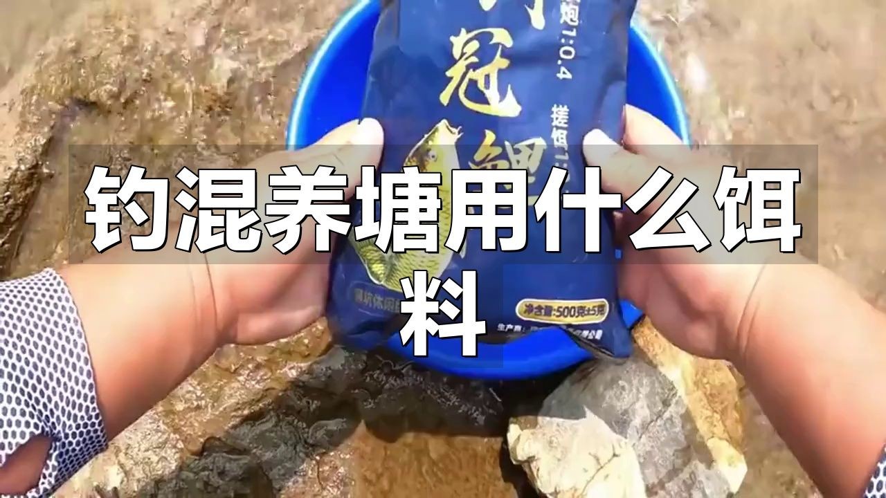混養魚用什么餌料最好：混養魚因種類多樣食性與營養需求存在差異，選擇適宜餌料至關重要 混養魚用什么餌料最好：混養魚因種類多樣食性與營養需求存在差異，選擇適宜餌料至關重要 龍魚論壇 第5張