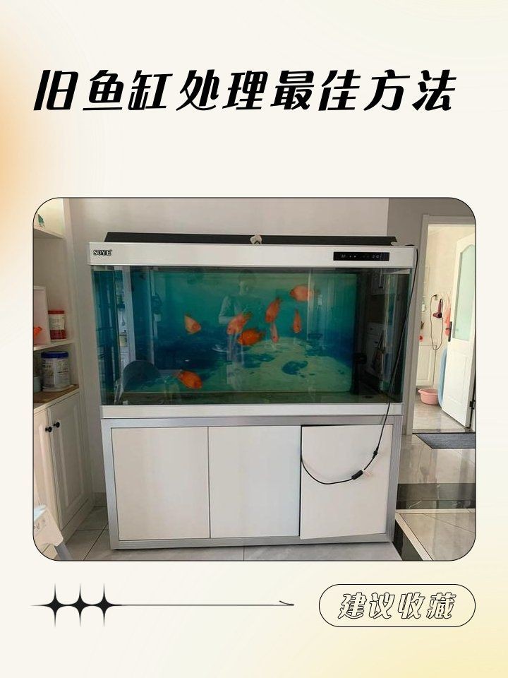 舊魚缸處理最佳方法：**《舊魚缸處理最佳方法》