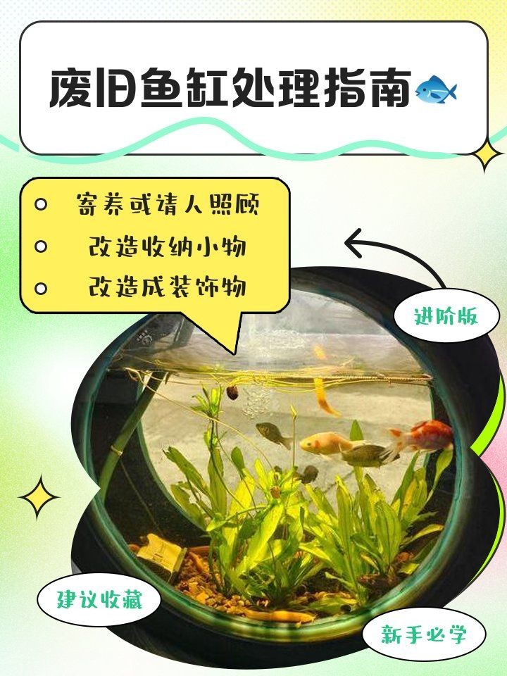 舊魚缸處理最佳方法：**《舊魚缸處理最佳方法》
