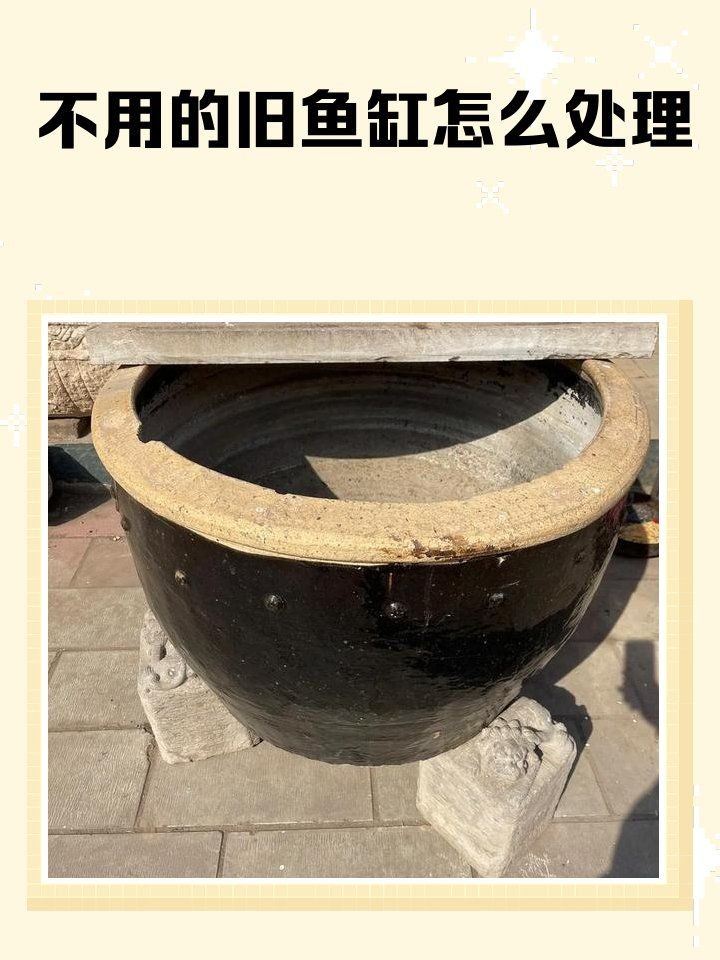 舊魚缸處理最佳方法：**《舊魚缸處理最佳方法》