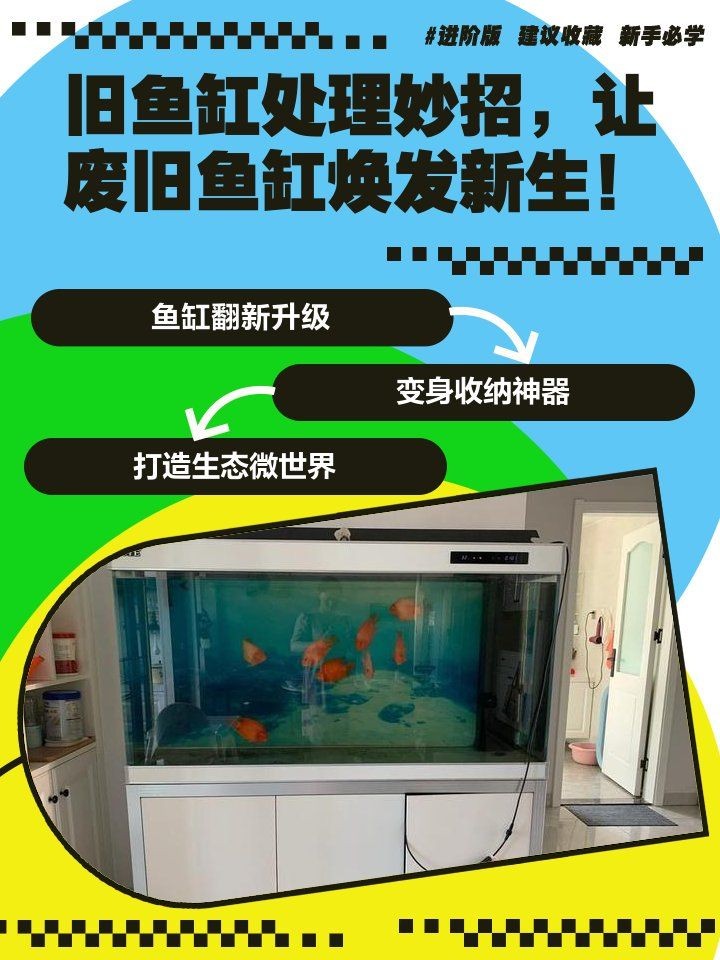 舊魚缸處理最佳方法：**《舊魚缸處理最佳方法》