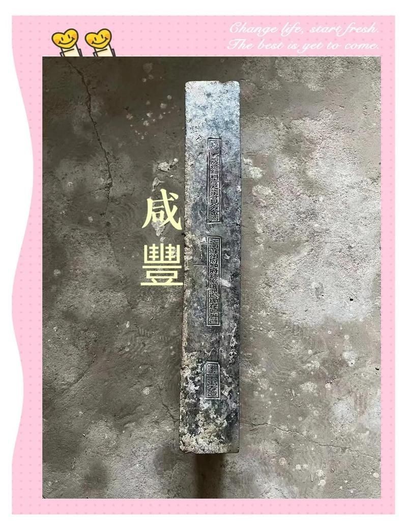 金磚圖片：“金磚圖片”常聚焦于金磚國家（巴西、俄羅斯、中國、南非） 金磚圖片：“金磚圖片”常聚焦于金磚國家（巴西、俄羅斯、中國、南非） 龍魚百科 第7張