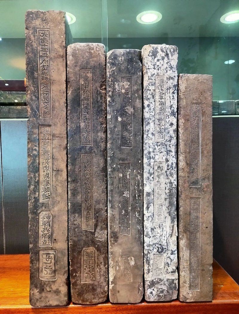 金磚圖片：“金磚圖片”常聚焦于金磚國家（巴西、俄羅斯、中國、南非） 金磚圖片：“金磚圖片”常聚焦于金磚國家（巴西、俄羅斯、中國、南非） 龍魚百科 第5張
