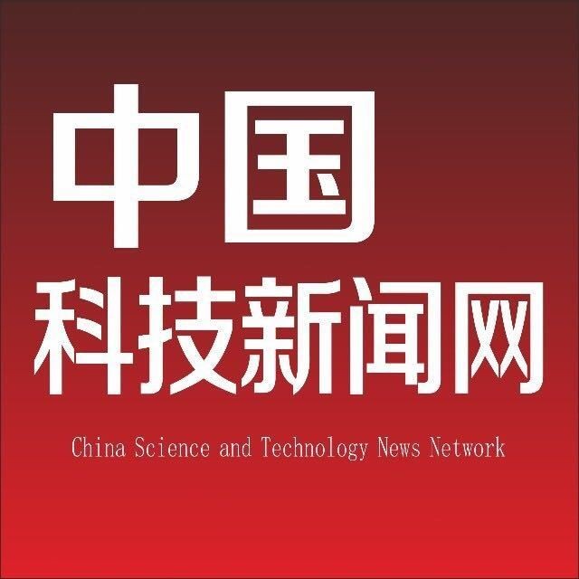 甲魚圖片真實：“甲魚圖片真實”主題展開，聚焦于呈現甲魚的真實形態特征